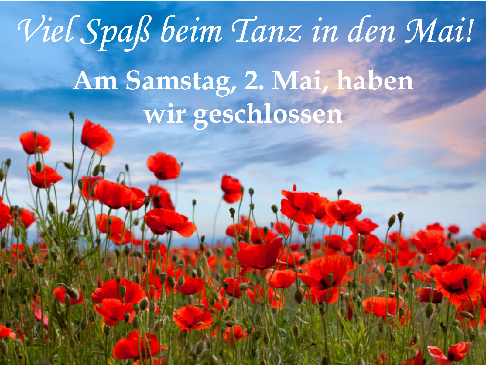 Ein Feld mit rotem Mohn. Wir haben am 2. MAi geschlossen.